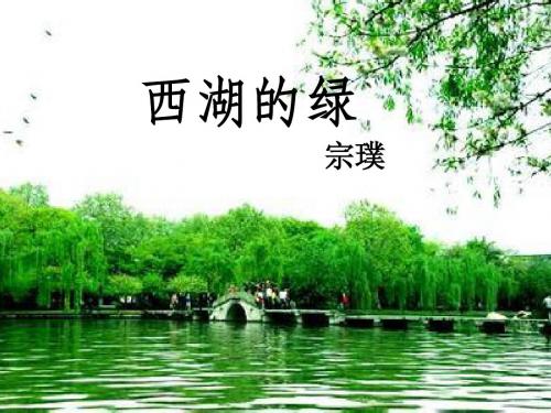 西湖的绿