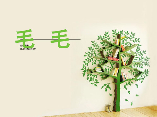 《毛毛》阅读教学PPT