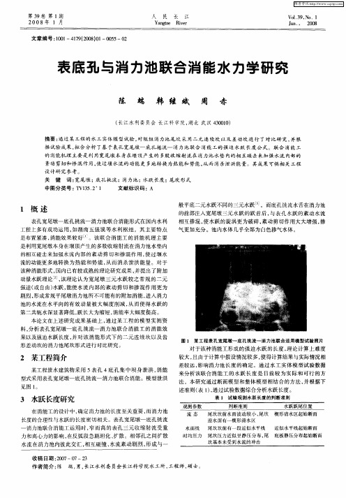 表底孔与消力池联合消能水力学研究