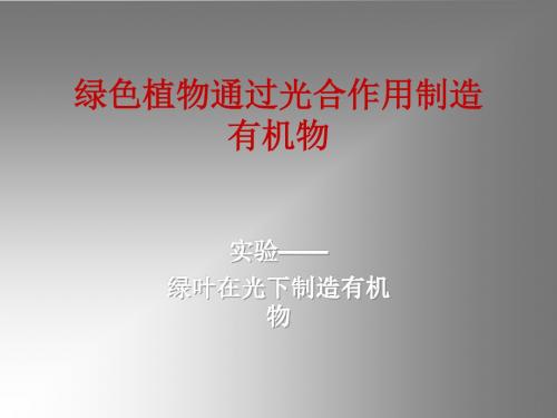 绿色植物通过光合作用制造有机物(2019年9月)