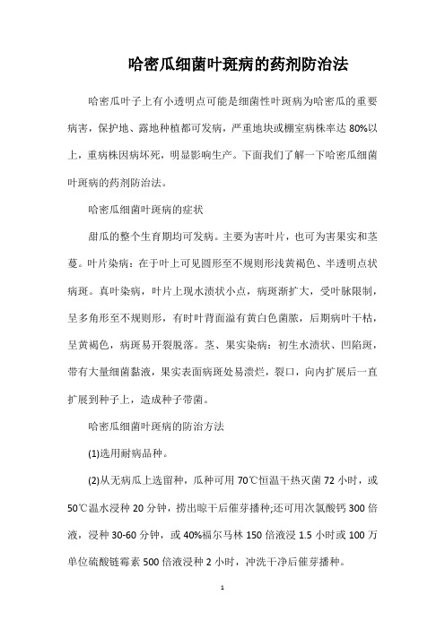 哈密瓜细菌叶斑病的药剂防治法