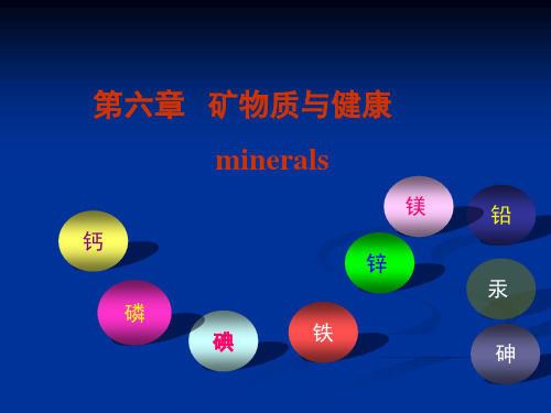 6-矿物质 ppt课件