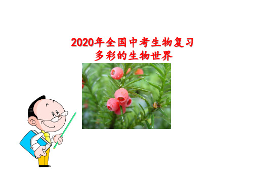 2020年全国中考生物复习：第二单元  多彩的生物世界 (共43张PPT)