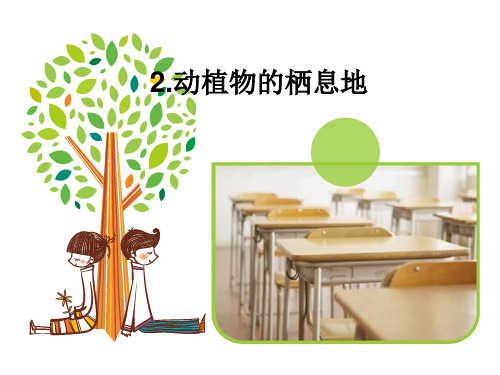 动植物的栖息地ppt