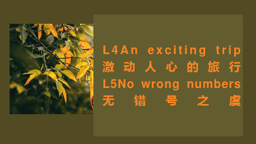 新概念英语第二册Lesson45课件