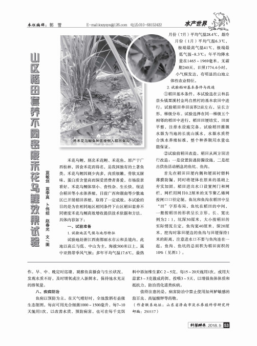 山区稻田套养不同密度禾花乌鲤效果试验