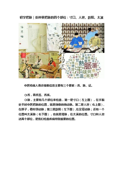初学把脉｜张仲景把脉的四个部位：寸口、人迎、趺阳、太溪