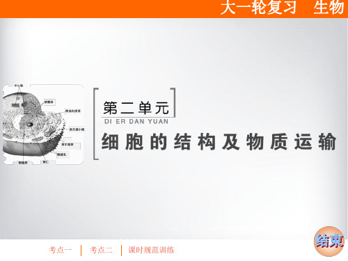 高三生物一轮复习课件 细胞膜(含流动镶嵌模型)与细胞核