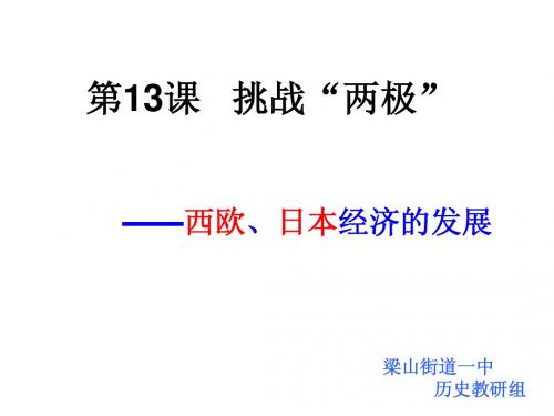 13课挑战“两极”
