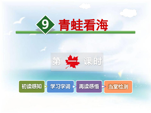 《青蛙看海》PPT上课用