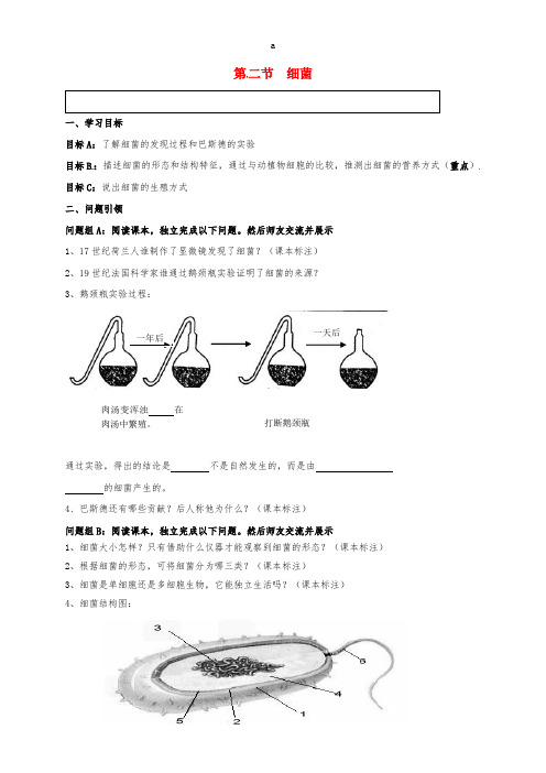 八年级生物上册 5_4_2 细菌导学案新人教版
