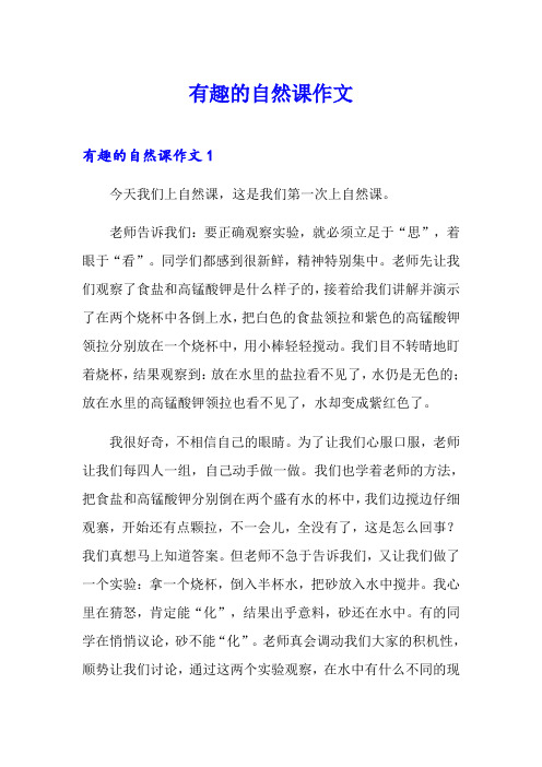 有趣的自然课作文