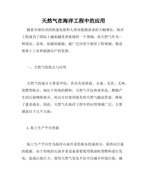 天然气在海洋工程中的应用