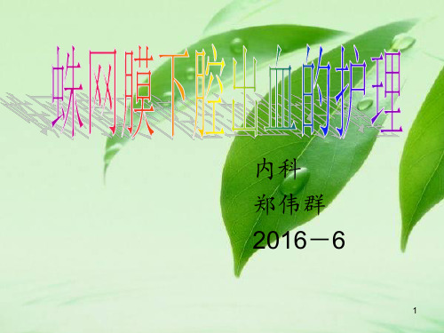 蛛网膜下腔出血的护理ppt课件