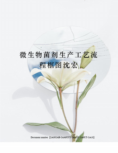 微生物菌剂生产工艺流程框图沈宏