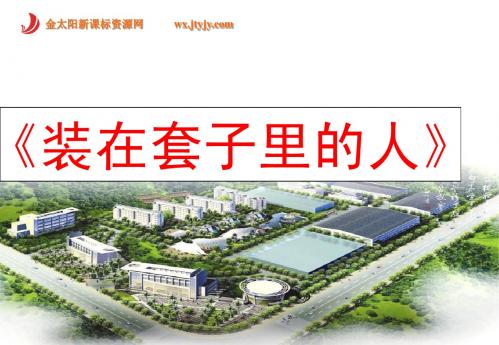 金太阳PPT模板1
