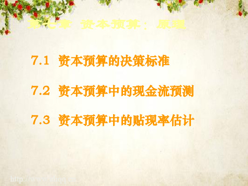 资本预算：原理(PPT 124页)