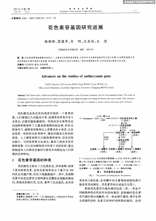 花色素苷基因研究进展