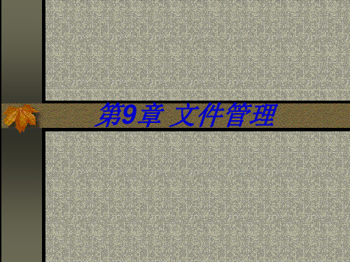 vb第9章 文件管理