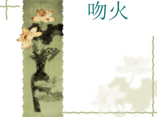 吻火ppt实用课件2