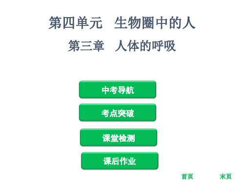 中考生物复习课件：第四单元 第三章 人体的呼吸(共61张PPT)