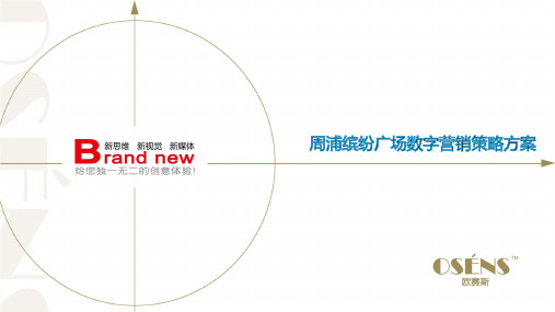 欧赛斯绿地集团商业综合体网络整合营销新媒体营销方案