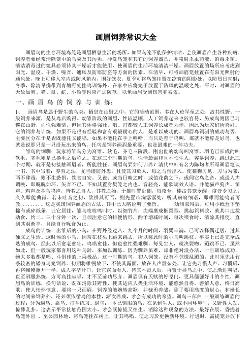 画眉饲养常识大全