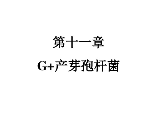 十一章G+产芽孢的杆菌