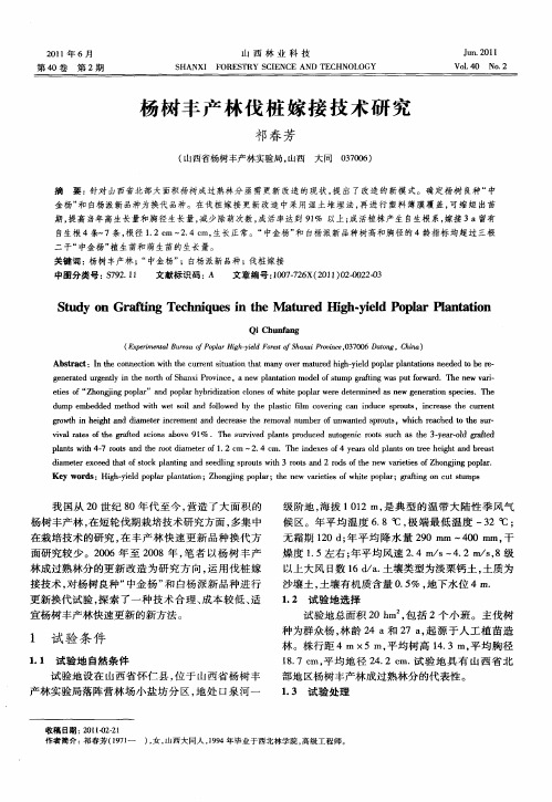 杨树丰产林伐桩嫁接技术研究