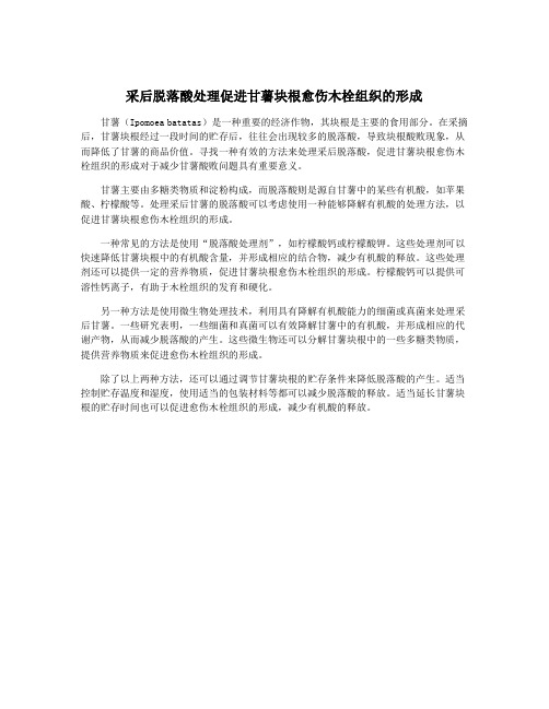 采后脱落酸处理促进甘薯块根愈伤木栓组织的形成