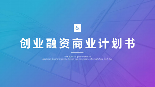 进口汽车商业计划书ppt