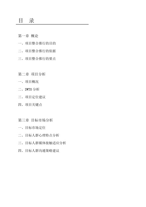 白金瀚整合推行策划方案