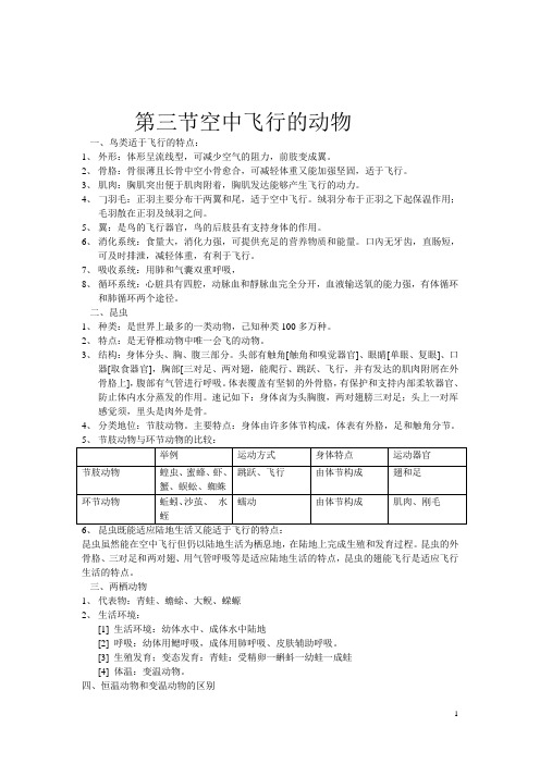 第三节空中飞行的动物