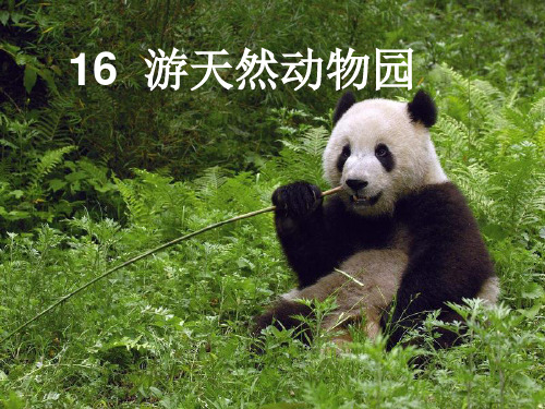 鄂教版小学语文五年级下册 游天然动物园 课件