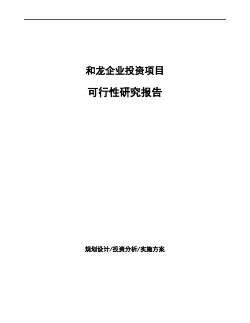 和龙项目可行性研究报告(项目申请模板)
