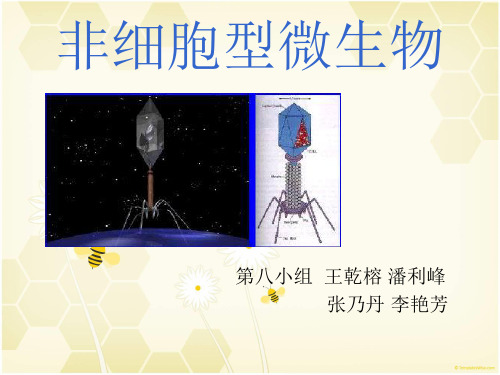 非细胞型微生物