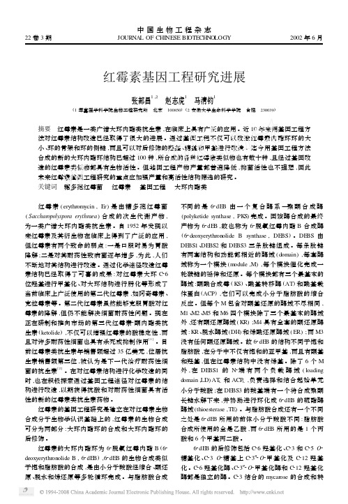 红霉素基因工程研究进展