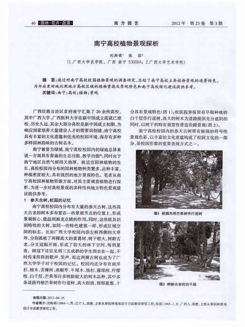 南宁高校植物景观探析