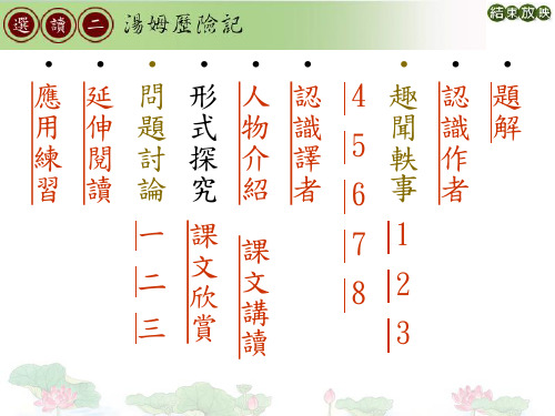 【豆丁网教育百科】汤姆历险记