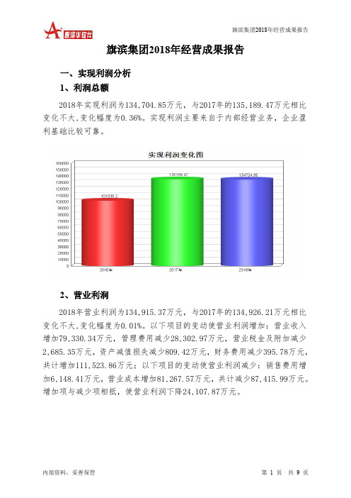 旗滨集团2018年经营成果报告-智泽华