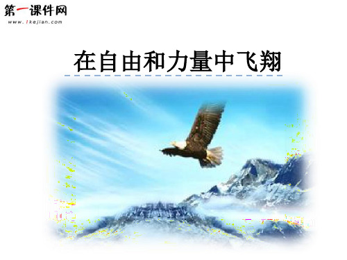 10诗二首在自由和力量中飞翔 教科版PPT课件