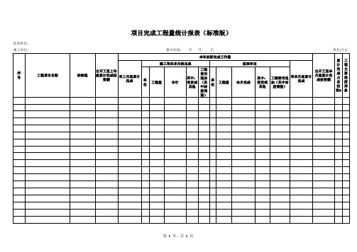 项目完成工程量统计报表(标准版)