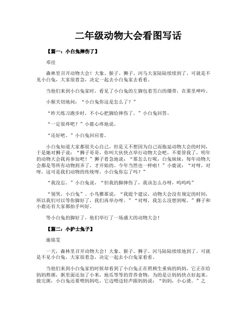 二年级动物大会看图写话