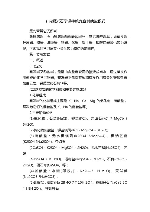 （沉积岩石学课件第九章其他沉积岩