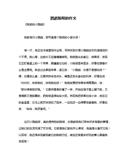 鹦鹉聪明的作文