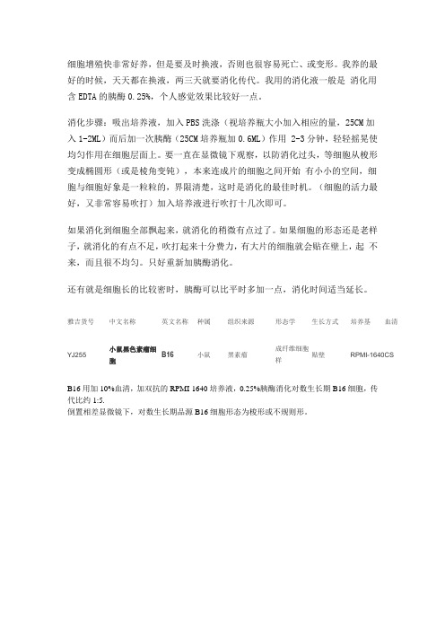 B16细胞的培养