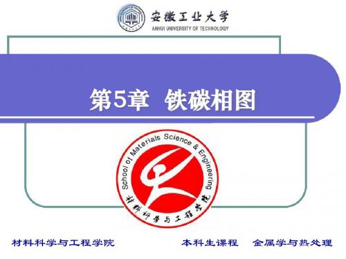 铁碳相图课件