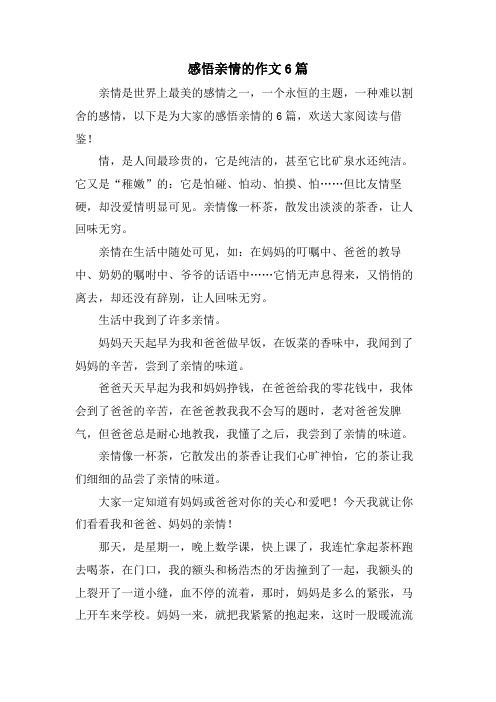 感悟亲情的作文6篇