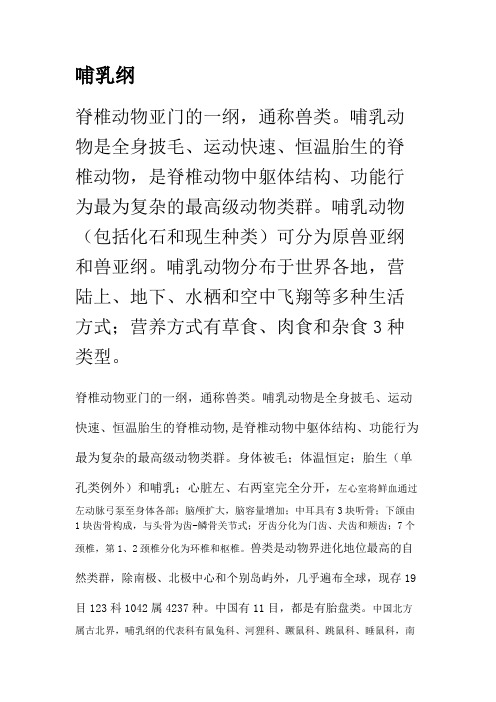 哺乳纲