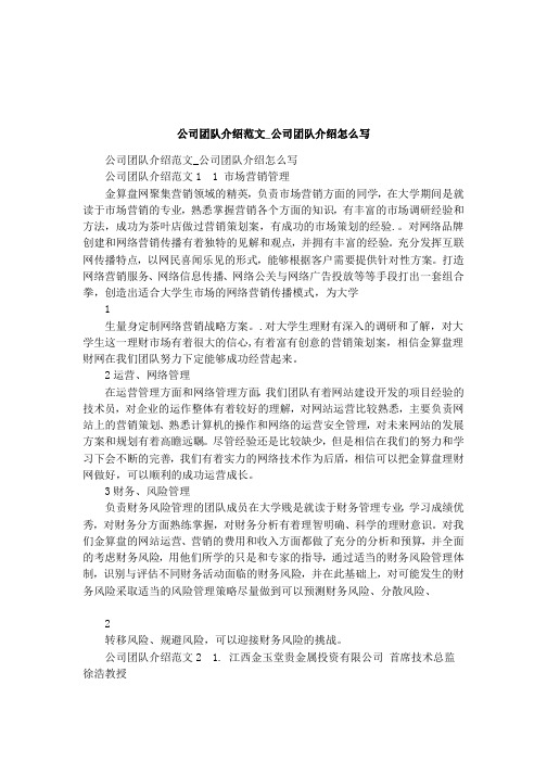 公司团队介绍范文_公司团队介绍怎么写